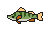 Perch