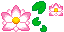 Sacred Lotus